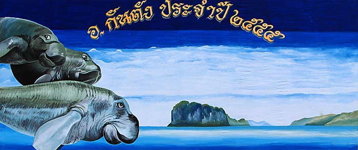 Dugongs in Trang